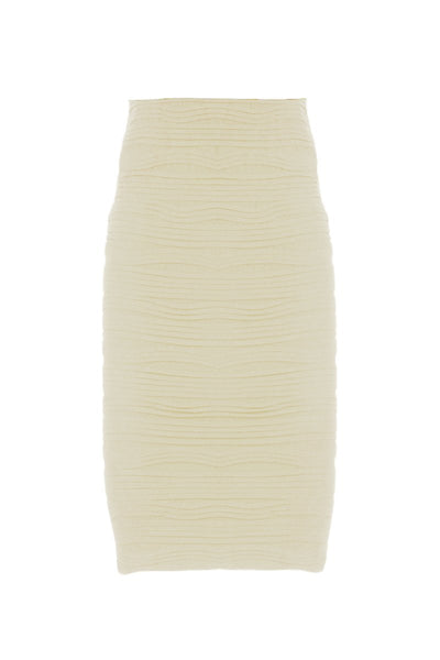 Mid Length Textured Skirt/Dress
